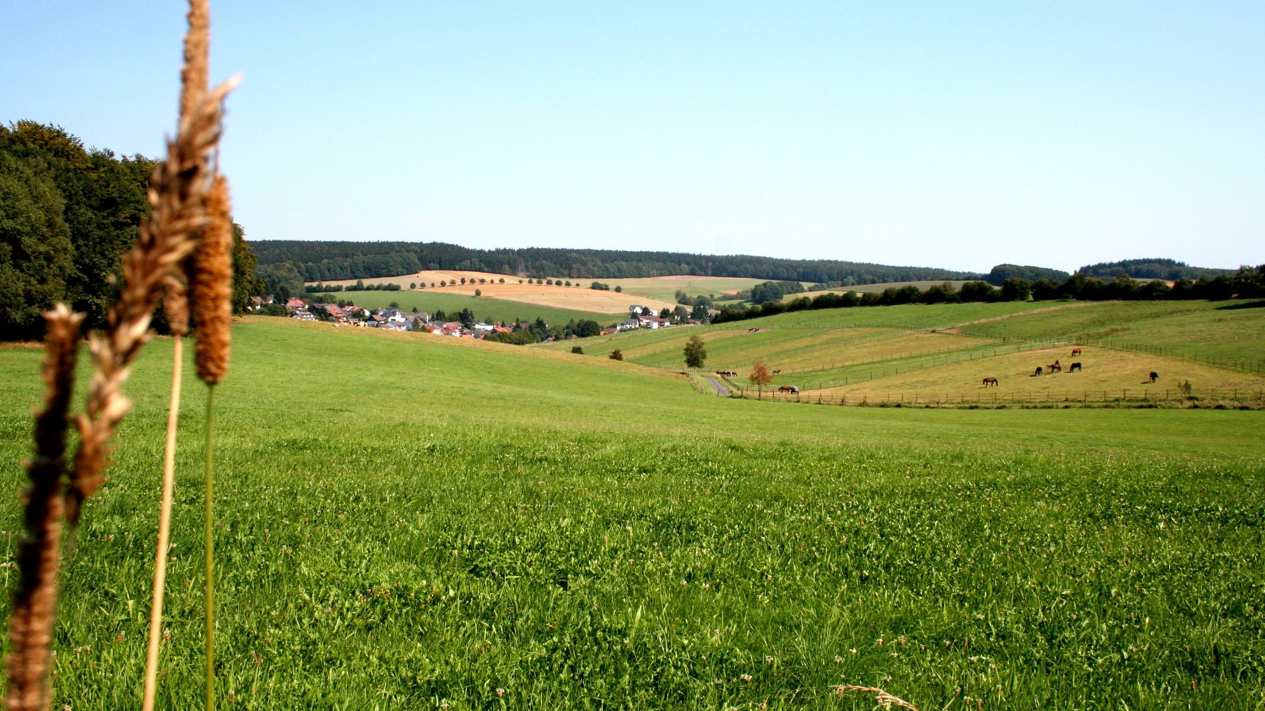 Film Deines Lebens Meine Biografie Eigene Biografie Jossgrund Lettgenbrunn