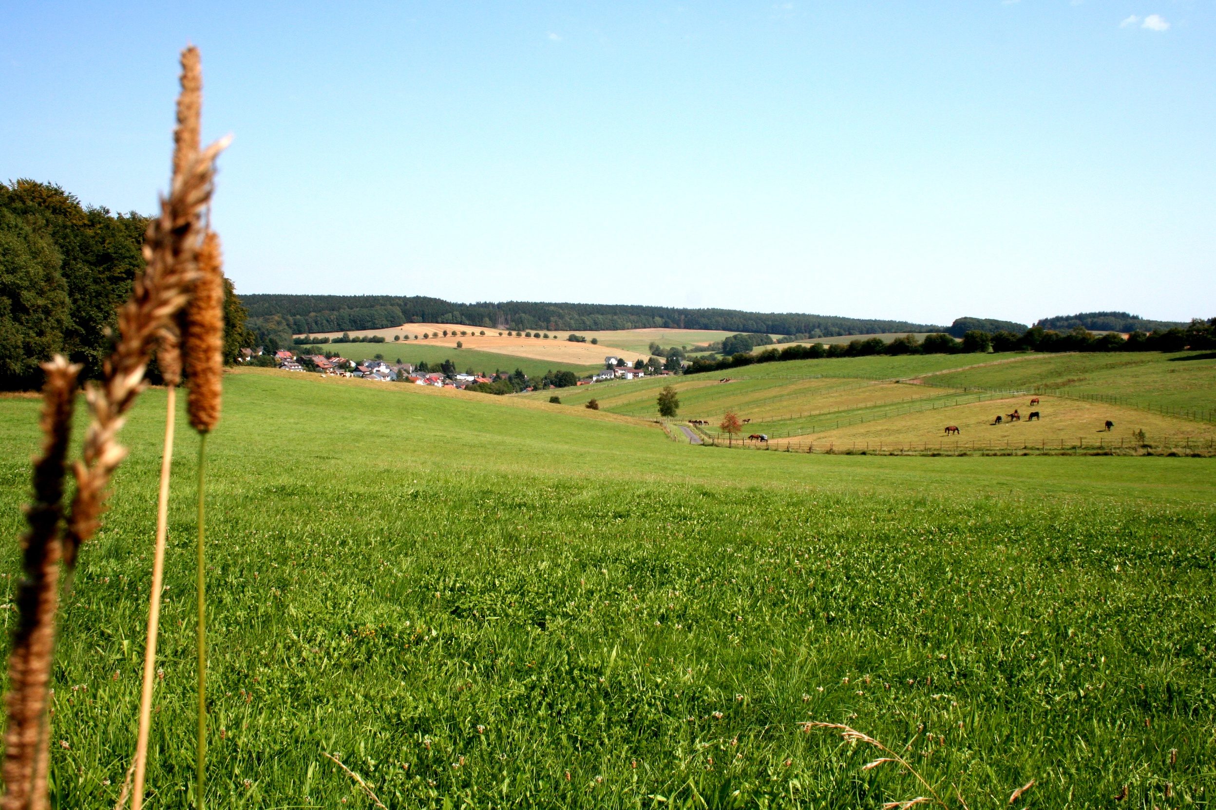 Film Deines Lebens Dein Film Landingpage